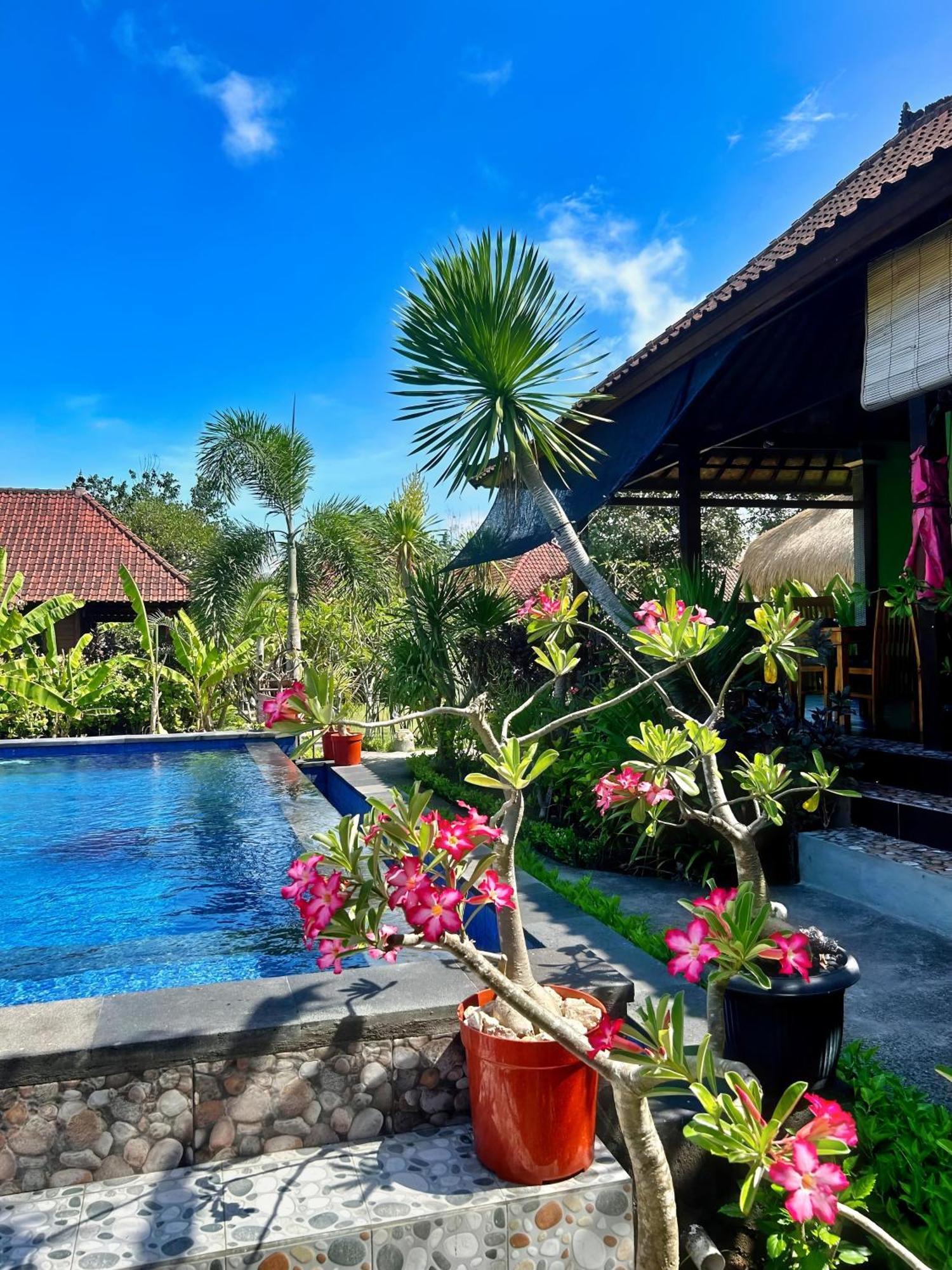 Bed and Breakfast Island Garden Huts Lembongan Нуса-Лембонган Экстерьер фото