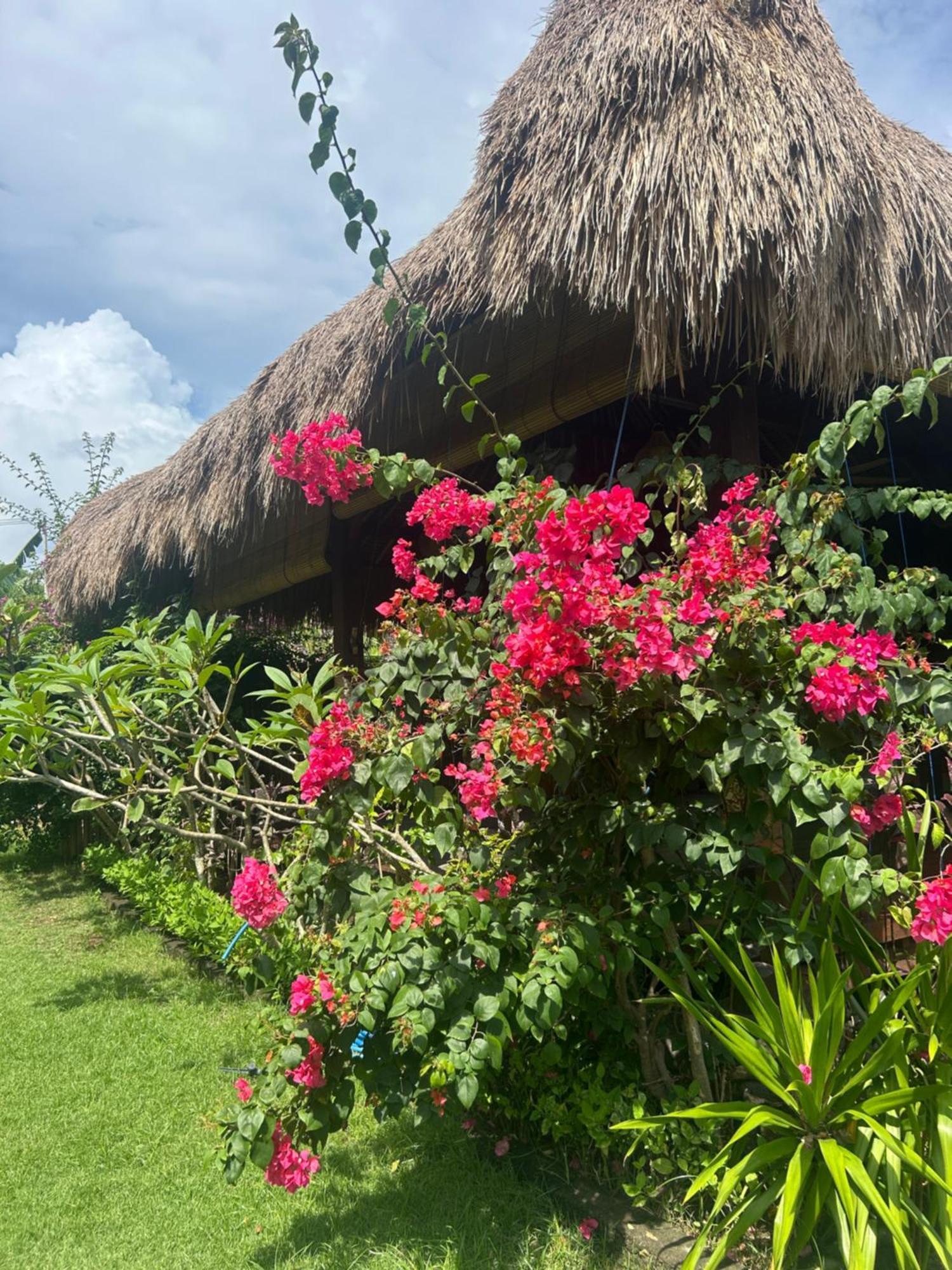 Bed and Breakfast Island Garden Huts Lembongan Нуса-Лембонган Экстерьер фото